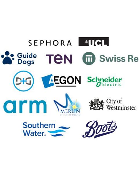 Sullivan & Stanley Leaders in Transformation LiT Community company logos