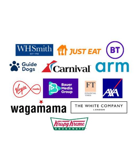Sullivan & Stanley Women in Transformation Community company logos